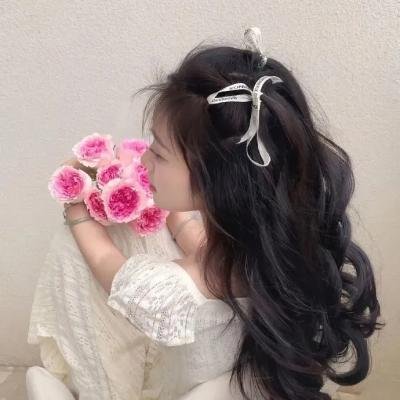 完美伴侣